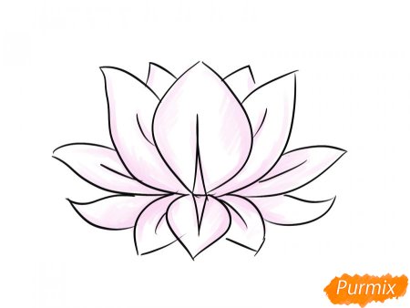 Лотос цветок карандашом