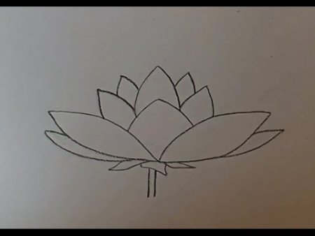 Лотос карандашом для начинающих