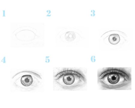 Поэтапное рисование зрачка