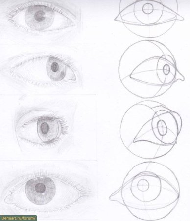 Поэтапное построение глаза