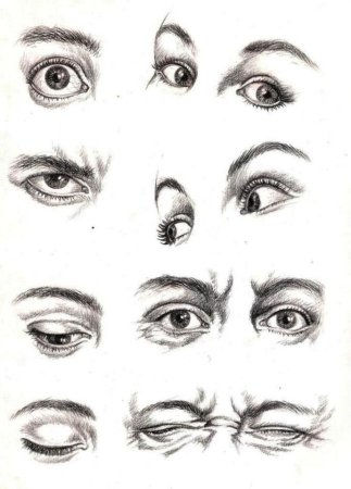 Глаза в разных ракурсах рисунок