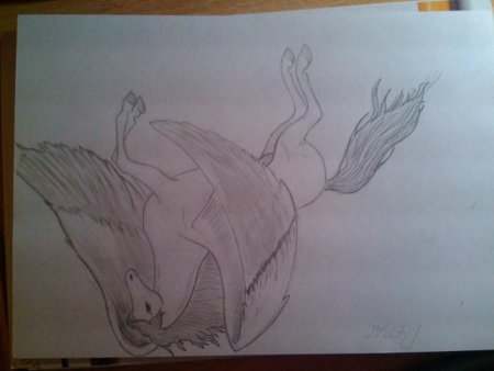 Крылья Пегаса пошагово