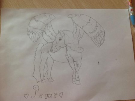 Поэтапное рисование Пегаса