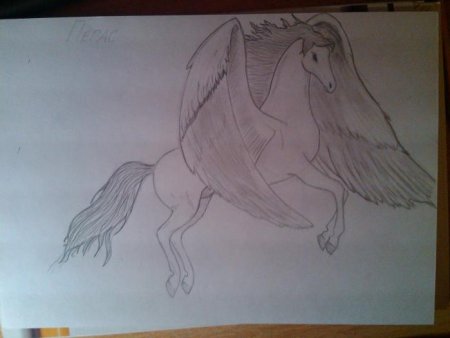 Поэтапное рисование Пегаса