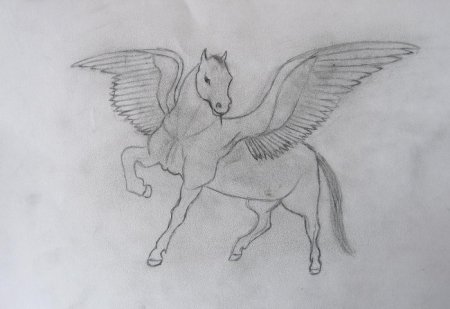 Поэтапное рисование Пегаса