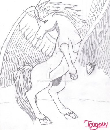 Пегас рисунок легкий