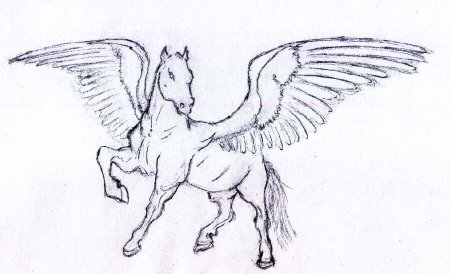 Пегас рисунок