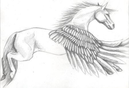 Пегас скетч