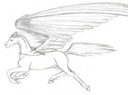 Пегас рисунок