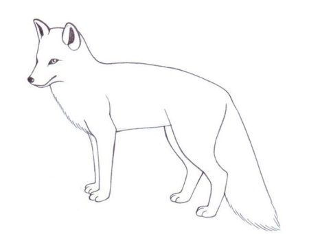 Рисунок лисы карандашом для срисовки легкие