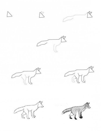 Поэтапное рисование лисы карандашом