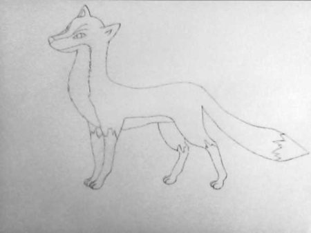 Нарисовать Корсака легко