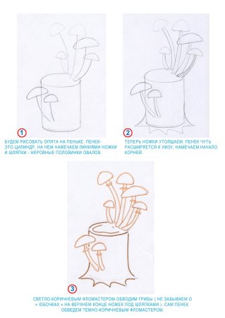 Грибы опята нарисовать карандашом