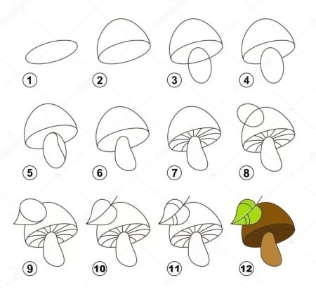 Схема рисования грибов