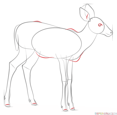 Как нарисовать оленя поэтапно легко и красиво