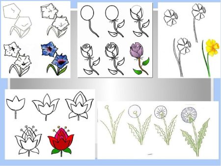Поэтапное рисование цветов для детей
