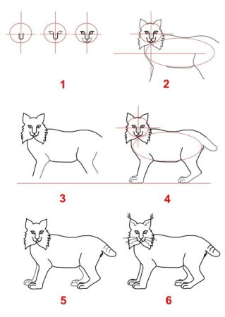 Нарисовать Рысь поэтапно