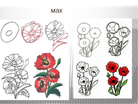 Схемы рисования цветов для детей