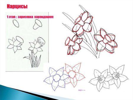 Горшок для цветов для рисования