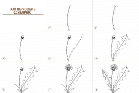 Поэтапное рисование для детей