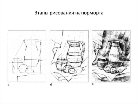 Этапы построения натюрморта карандашом