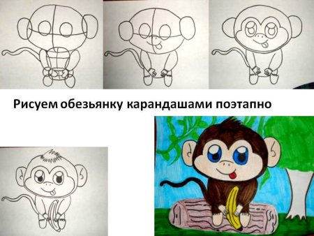 Рисуем обезьянку