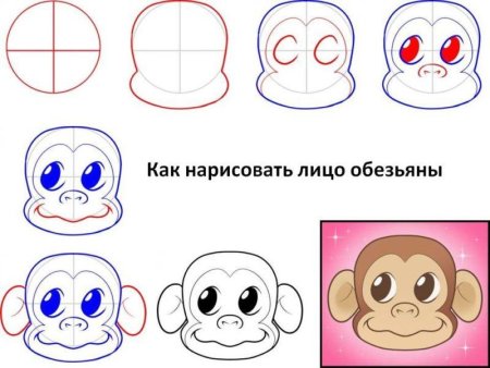 Как нарисовать обезьянку