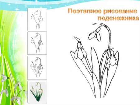 Весенние рисунки для срисовки простые