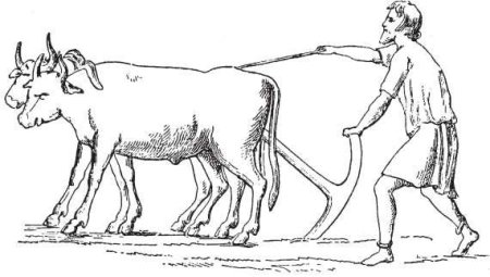 Нарисовать быка с плугом