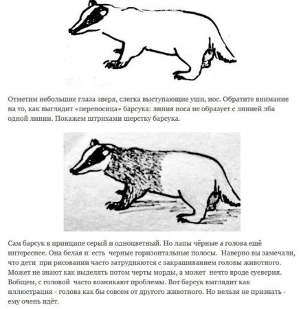 Задания с барсуком