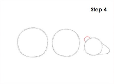 Барсук рисунок карандашом поэтапно