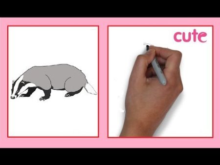 Учимся рисовать барсука