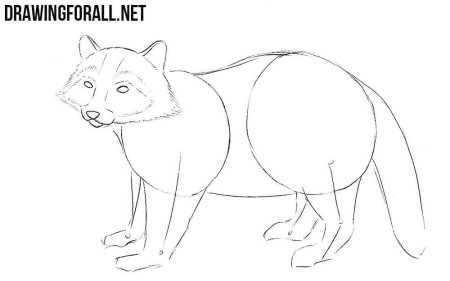 Как нарисовать бурундука