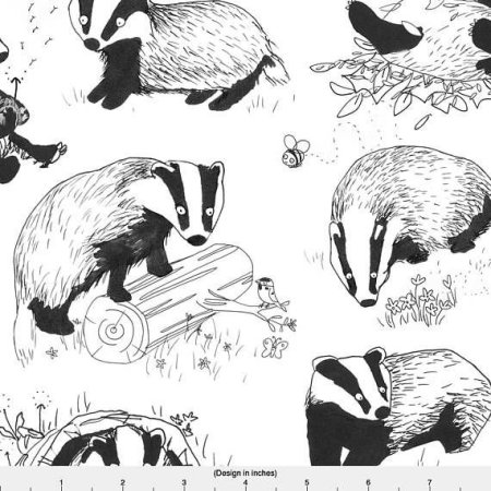 Нарисовать барсука