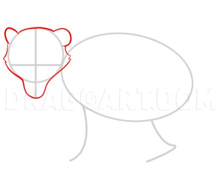 Енот пошаговый рисунок