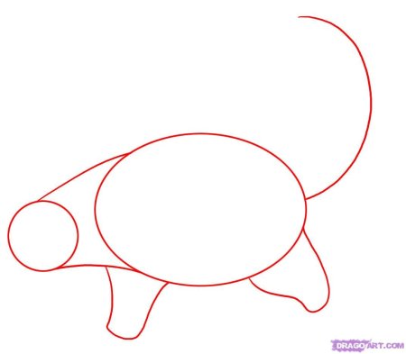 Как нарисовать снежного Барса поэтапно