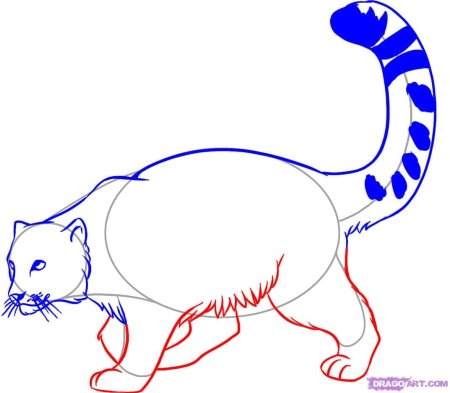 Барс рисунок поэтапно