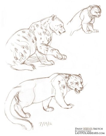 Поэтапное рисование леопарда