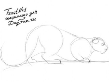 Поэтапное рисование леопарда