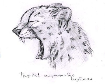 Рисование леопарда поэтапно