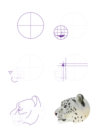 Vanguard Snow Leopard принципиальная схема