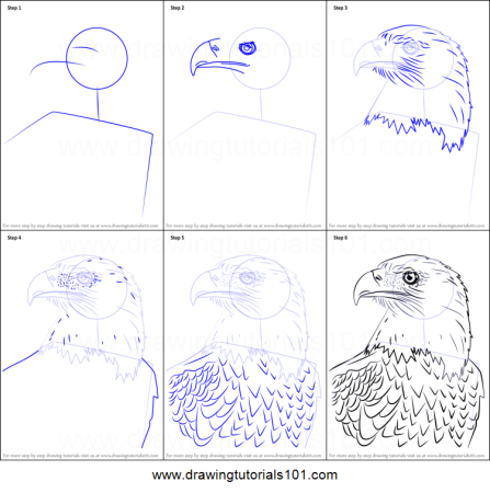 Снежный Барс рисовать поэтапно