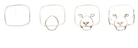 Барс рисунок карандашом для начинающих