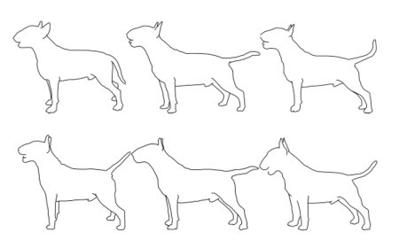 Бультерьер линия контур