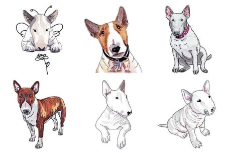 Бультерьер вышивка