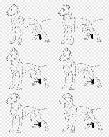 Скетч собаки породистые