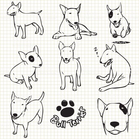 Тату бультерьер эскизы