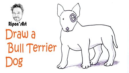 Бультерьер нарисованный