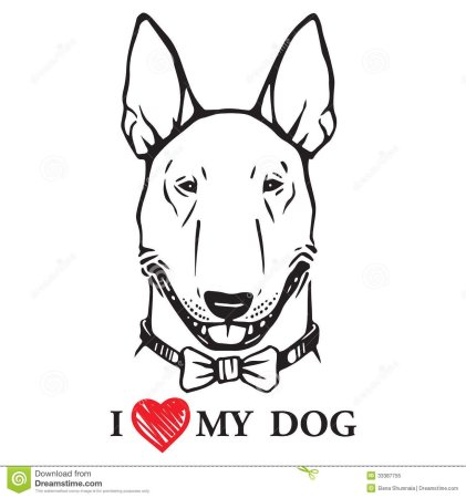 Тату бультерьер эскизы