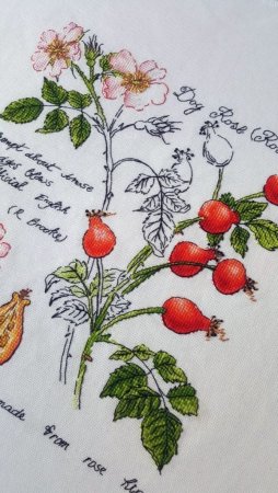 Шиповник вышивка гладью